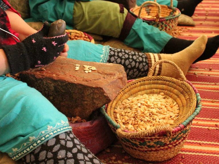 women extracting Argan nuts at a cooperative, Morocco