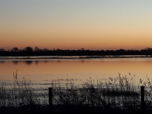 Wheldrake Ings at sunset