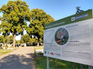 information sign in Meidling Cemetery, Vienna