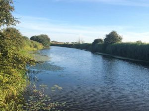 open water at Hooe Levels, Sussex