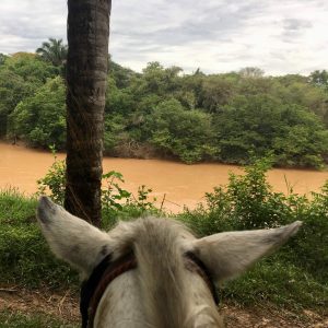 views from horseback to the river at Hato la Aurora, Colombia