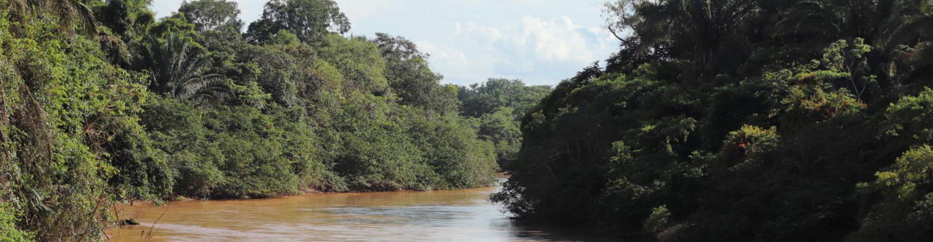 tree-lined river at Hato la Aurora, Colombia