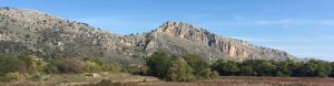 scrubby hillside, the Peloponnese