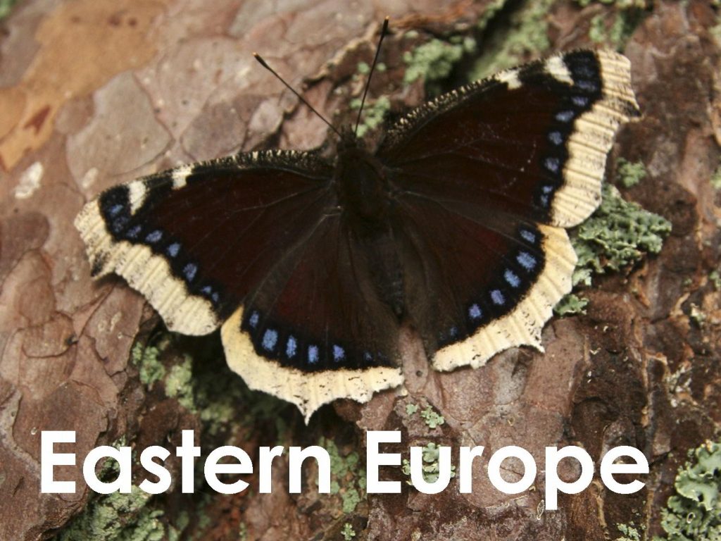 Eastern Europe web button