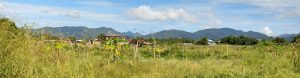 field with hills in the background, Trinidad