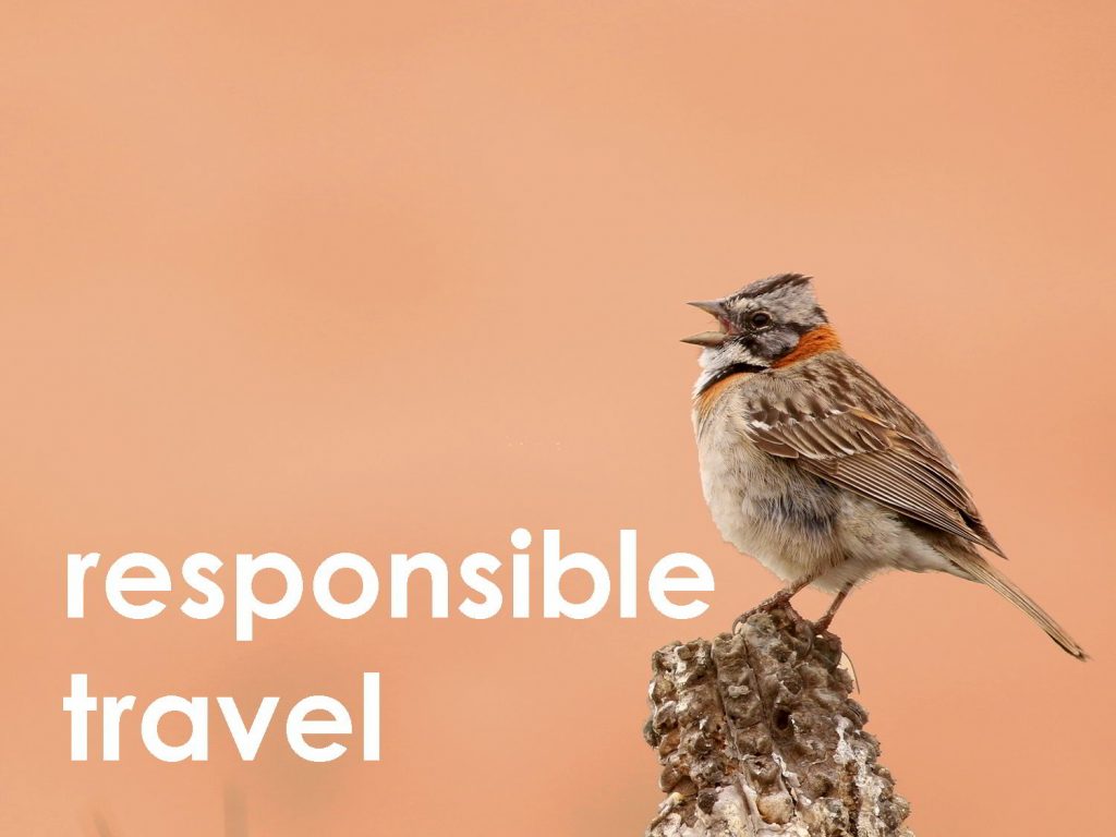 responsible travel web button