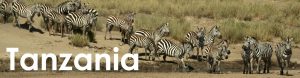 Tanzania web button