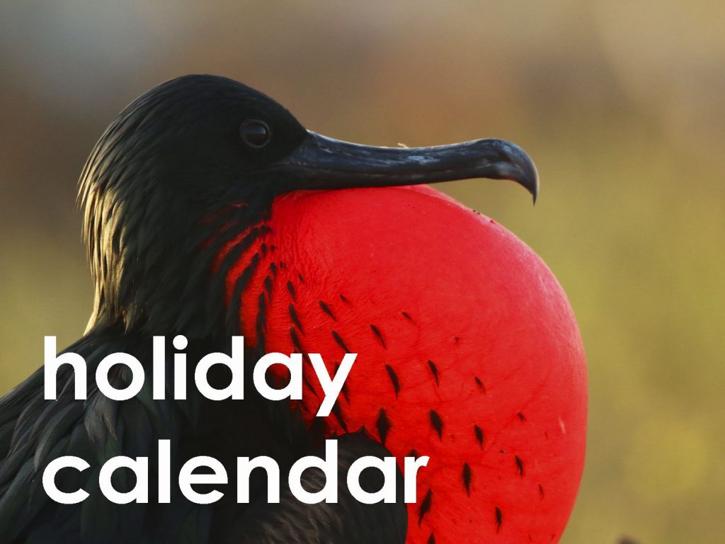 holiday calendar web button