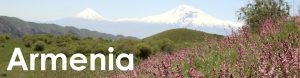 Armenia web button