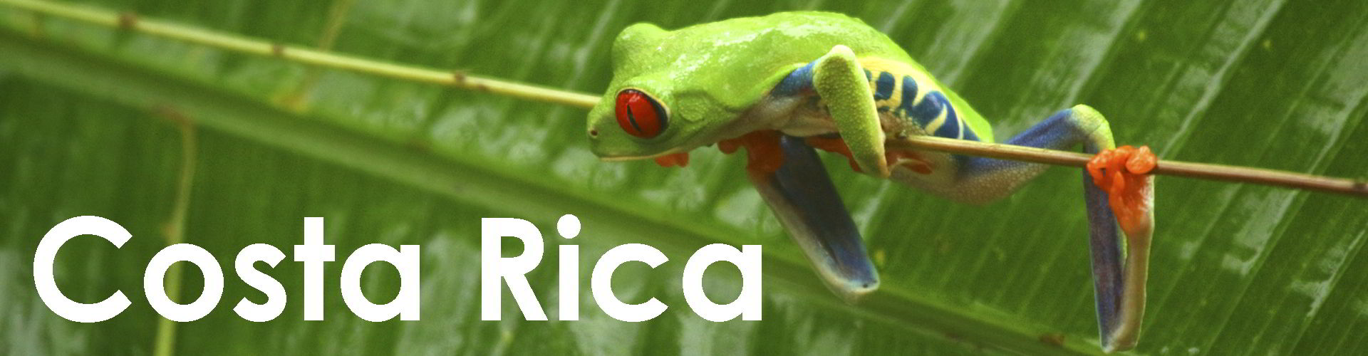 Costa Rica web button