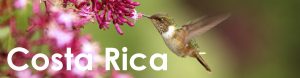 Costa Rica web button