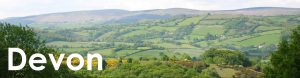 Devon web button