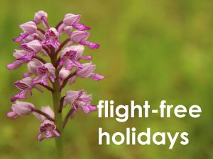 flight-free travel web button