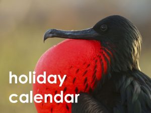 holiday calendar web button right
