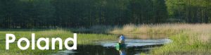 Poland web button