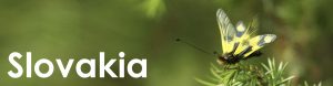Slovakia web button