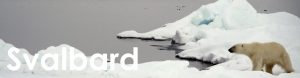 Svalbard web button