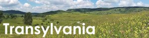 Transylvania web button