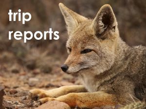 trip reports web button