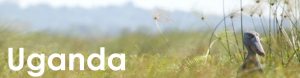 Uganda web button