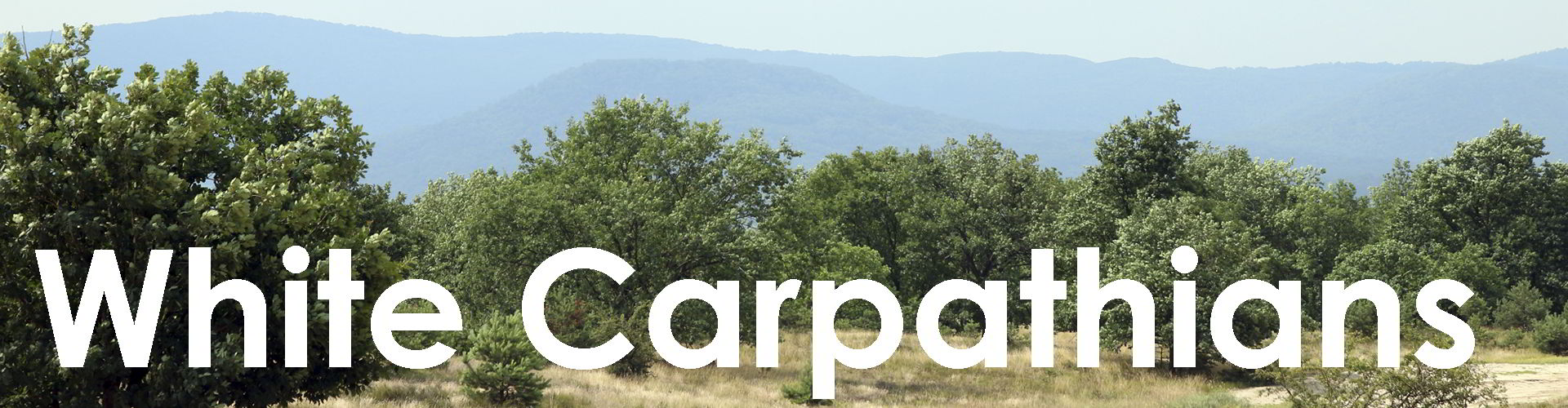 White Carpathians banner web button