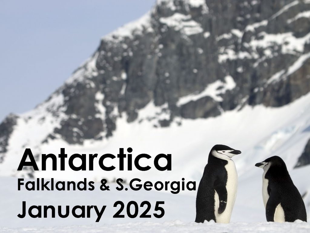 Antarctic 2025 web button
