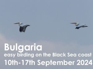 Bulgaria autumn 2024 web button