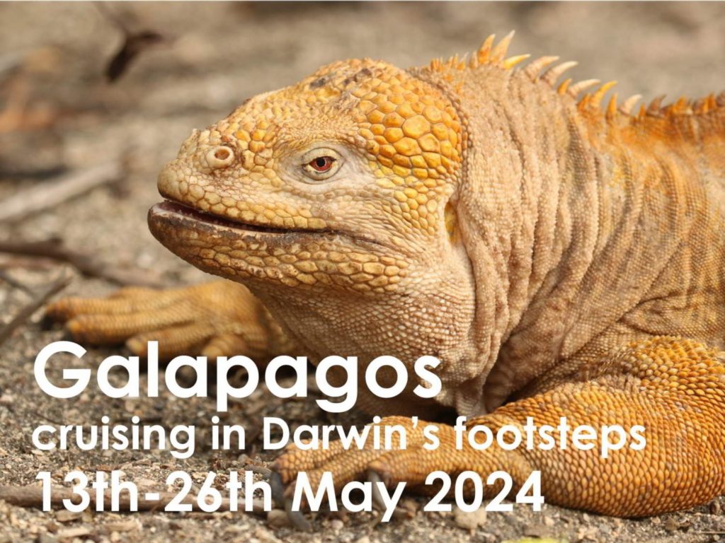 Galapagos 2024 button