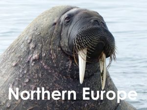 Northern Europe button