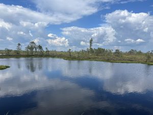view of Ignatsi bog