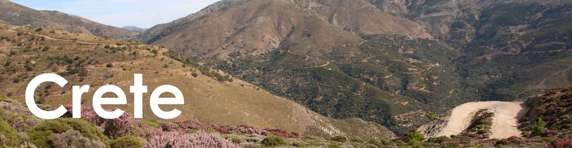 Crete header