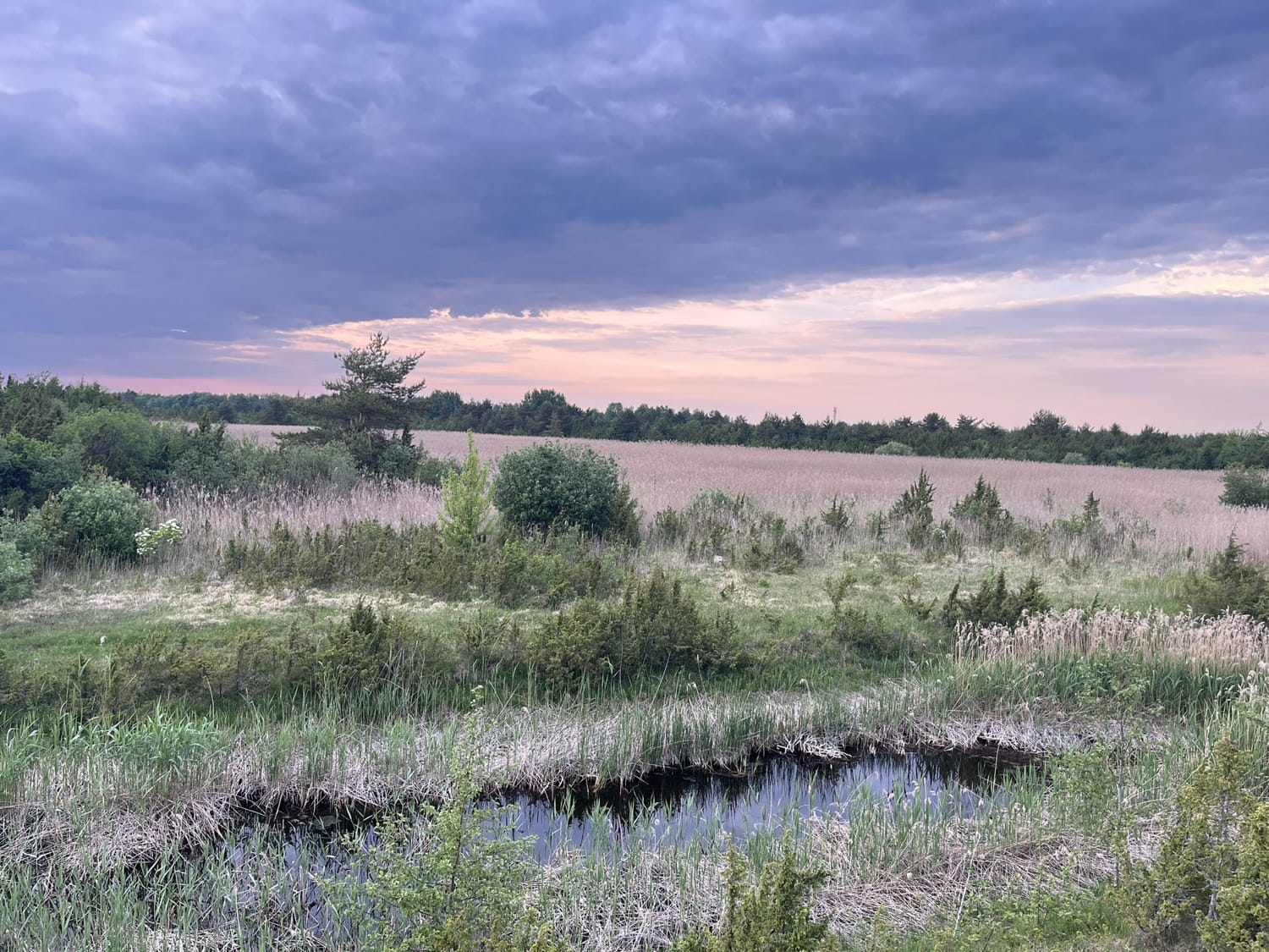 Altmõisa, Estonia - Laurie Jackson